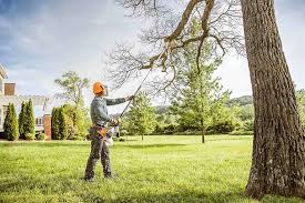 How Our Tree Care Process Works  in  Vaughn, WA