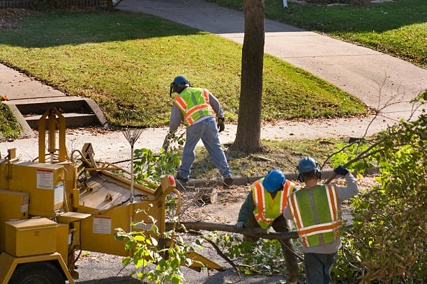 Vaughn, WA  Tree Services Company